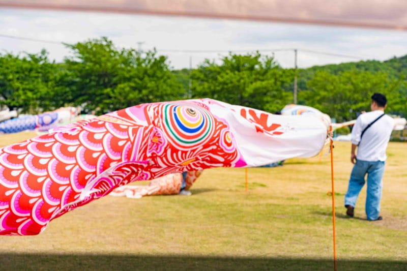 草原を風になびく赤い鯉のぼり