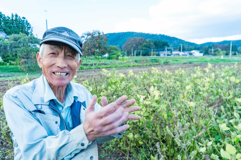 挑戦の種は、自分の中にある。エゴマづくりに挑む渡辺敏雄さんの「農＋」。